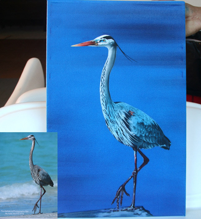 Realistic blue heron bird painting